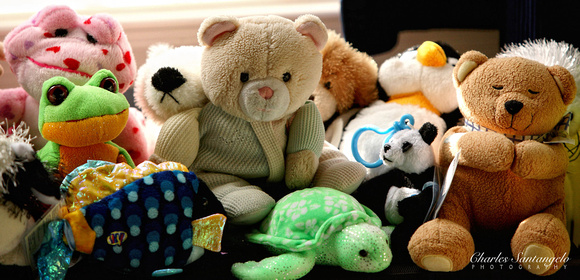 Teddy and Friends